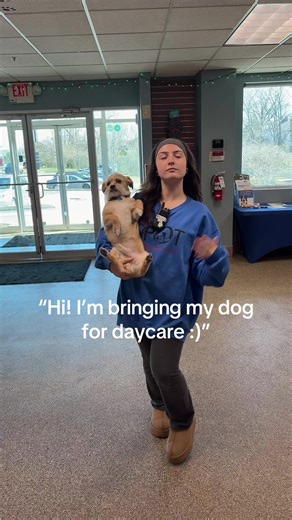 Spring breakers! Give us a call or stop in to book your pup for a spring break vacay of their own🐾🌸🌈🏖️ #dogsoftiktok #doggydaycare #dogboarding #foryoupage