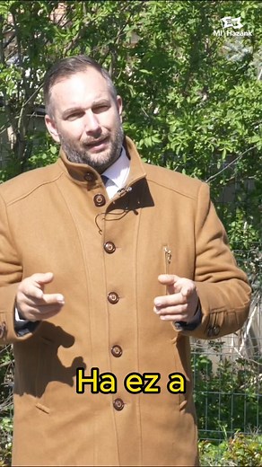 694K views · 10K reactions | Dócs Dávid on Reels | Facebook