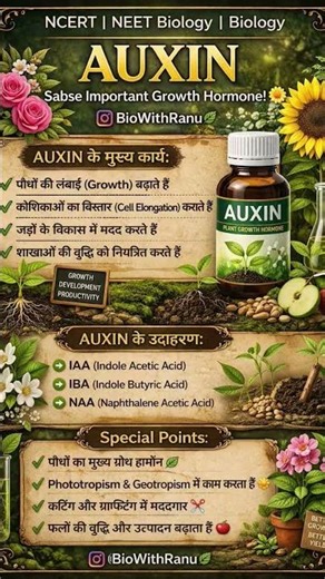 ⚡ Auxin Explained in Hindi | Fast Revision