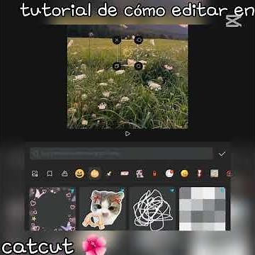 tutorial de cómo editar en catcut 🌺