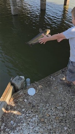 Perfect Eating Catfish Too