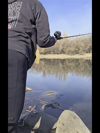 #fish #fishing #trout #catfish #arizona