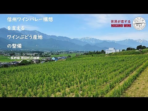 信州ワインバレー構想を支えるワイン用ぶどう産地の整備