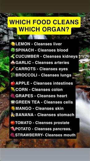 Which foods cleans which organ