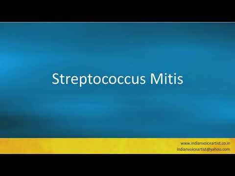 Pronunciation of the word(s) "Streptococcus Mitis".