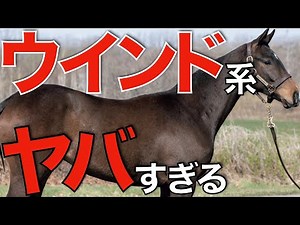 驚異の牝系！ウインドインハーヘアの血統馬たちがクラシックを席巻するか。