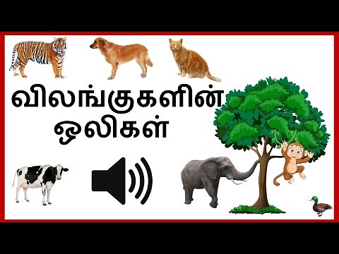 Learn Animals Sound in Tamil for Children | Animal Sounds | விலங்குகளின் பெயர்கள் மற்றும் ஓசைகள்