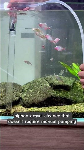 Turns out there's a way to change aquarium water and clean the gravel #aquaclean