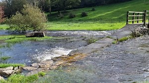 Pan Shot Of Streaming Water Through Green Nature Over Pathway, Anglesey | Premium Stock Video Footage