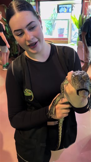Explore Canberra Reptile Zoo: Hands-On Animal Encounters