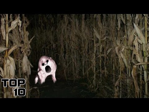 Top 10 Dark Farm Stories NOT To Be Heard Alone