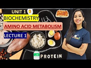 Amino Acid Metabolism Lecture 1 I Biochemistry I Transamination I Deamination I Transdeamination