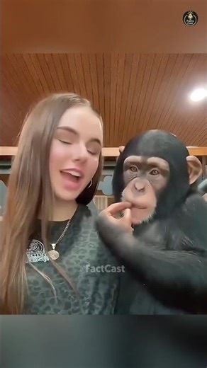 The Dark side of chimpanzee. #tamil #facts #shorts