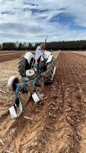 Carl Fretwell with his David Brown 880 Selectamatic and Ransomes plough competing at the South Yorkshire charity ploughing match #ploughing #davidbrown #tractor