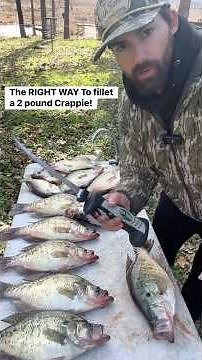 The right way to fillet a 2 pound slab crappie with an electric knife. (I think) #fishing #howto