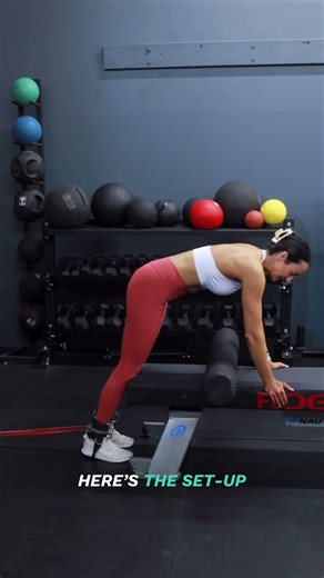 Lying Leg Curl Home Alternative