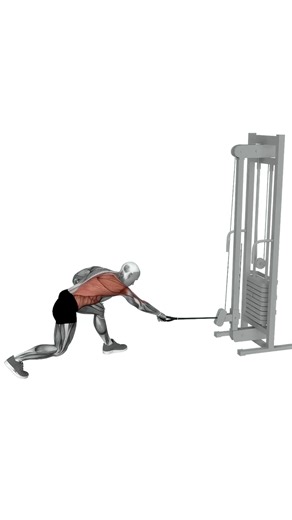 Cable Twisting Pull.mp4