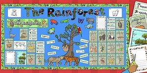 Ready Made Rainforest Display Pack