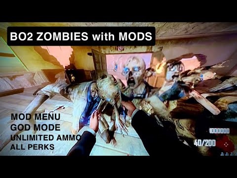BO2 Zombies with Mods 2025