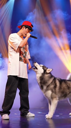 dog vs human rap battle