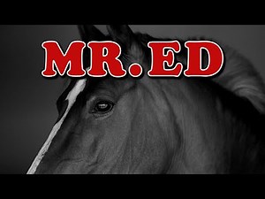 MR.ED - Main Theme By Jay Livingston & Ray Evans | CBS