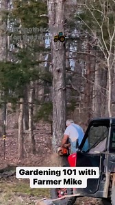 6.9K views · 128 reactions | We’re cutting a dead American Elm tree today , the Dutch Elm Blight “from China “ got it #farmlifefunlife we appreciate y’all | Gardening 101 with Farmer Mike | Facebook