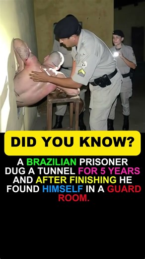He Dug a Tunnel for 5 Years… But Ended Up in the Guard Room! 😳 | Unbelievable Prison Story