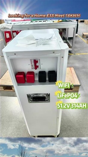 Looking for a Home ESS? Meet the 16KWH Energy Storage System
