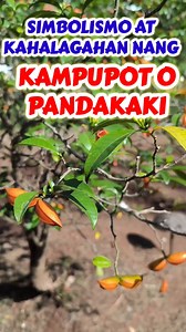 Kampupot o Pandakaki simbolismo at kahulugan | Kabayang Manny