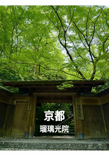 京都 瑠璃光院 若々しい青紅葉が大好き パワー全開に感じる #京都 #瑠璃光院 #青紅葉 #kyotno #旅