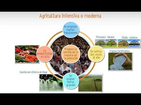 Agricultura