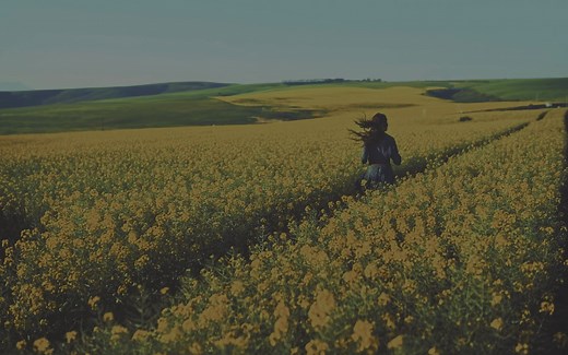 【4K HDR】色彩绚丽，沉浸体验，首个HDR视频