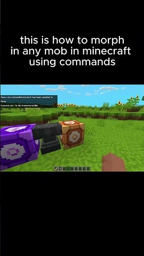 Part 6 interesting commands in mc #minecraft #mincraftbedrock #minecraftcommands