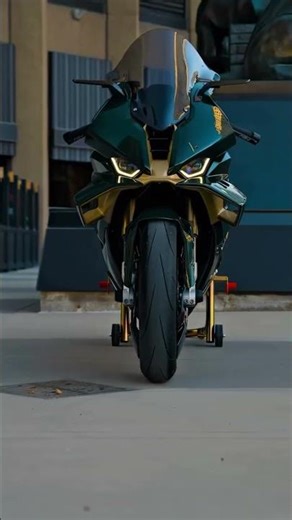 BMW S1000RR 🏍️