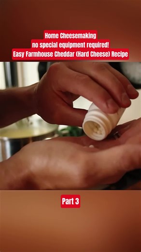 Home Cheesemaking - no special equipment required! Easy Farmhouse Cheddar (Hard Cheese) Recipe | Part 3 #cheesemaking #homemadecheese #farmhouse #homestead #viral