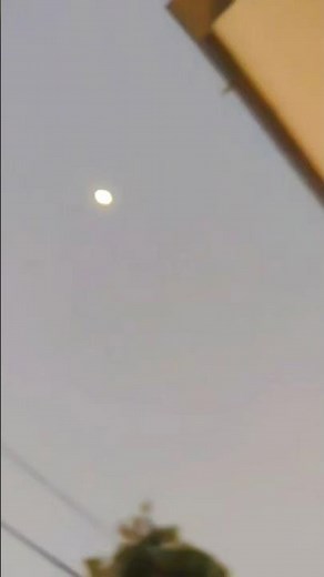 tainu dekhe java 🫣😍