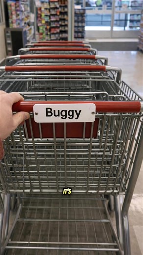 You’re From Appalachia If You Say “Buggy” appalachian words buggy meaning shopping cart buggy appalachia appalachian sayings and phrases mountain talk appalachia appalachian dialect words southern appalachian language things appalachians say regional words appalachia appalachian culture language how appalachians talk #AppalachianWords #MountainTalk #Buggy #Appalachia #SouthernSayings