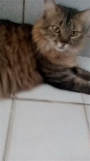 23 de janeiro de 2026