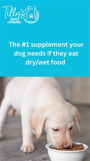 Digestive enzymes 🐾 Processed foods contain no digestive enzymes — they’re destroyed during cooking. Raw food naturally contains enzymes that help break down food and absorb nutrients. Adding digestive enzymes can take the pressure off your dog’s gut and support overall health. Examples: dried pancreas, fresh pancreas, or digestive enzyme supplements. Pop into Tilly’s and speak to our nutritionist about simple ways to improve your dog’s diet. Tilly’s Treat Cupboard: we don’t just sell dog food,