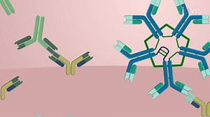 Video: Functional Assessment of Antibody-Secreting B Cells Using ELISpot Assay - Experiment