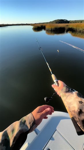 Catching Redfish is so fun! #fishinglife #flatsboat #fishingcontent #fishing #fishingtiktoks #sightfishing #inshorefishing #creatorsearchinsights