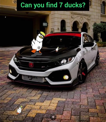can you find 7 ducks?#automobile #puzzle #duck #viralshorts