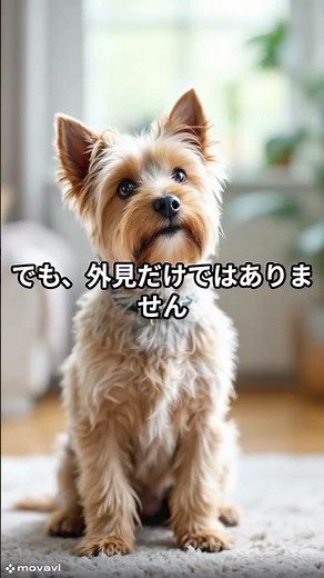 【実は知らない】『犬の雑学』「ノーリッチテリア」