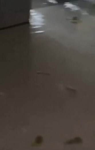 27K views · 520 reactions | Video shows damage at Sangster International Airport in Montego Bay, Jamaica amid Hurricane Melissa. #PrayForJamaica | Traci Fant | Facebook