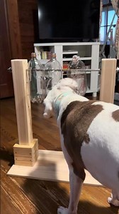 Minny toy puzzle play 11-27-25