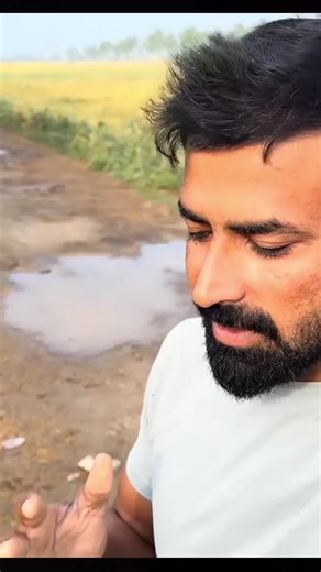 Waqar bhinder vlogs #waqa52#waqa52#usa#unitedstats#unitedkigdom