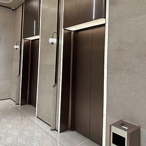 [Hot Item] Elevator with Advanced Safety Features: Includes Overload Protection, Emergency Alarm, and Automatic Rescue Device (ARD)