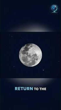 Mars City 2050: SpaceX's Plan for Humanity's Future #shorts