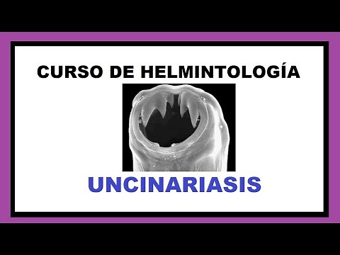 Todo sobre LA UNCINARIASIS - Curso de Helmintología