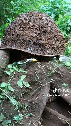 Battle of the Bulge 1944: A Metal Detecting Journey